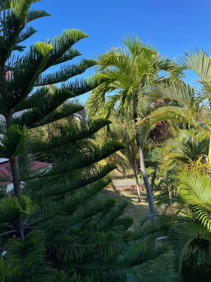 Jardin Sur Mer Terre-De-Haut Bagian luar foto