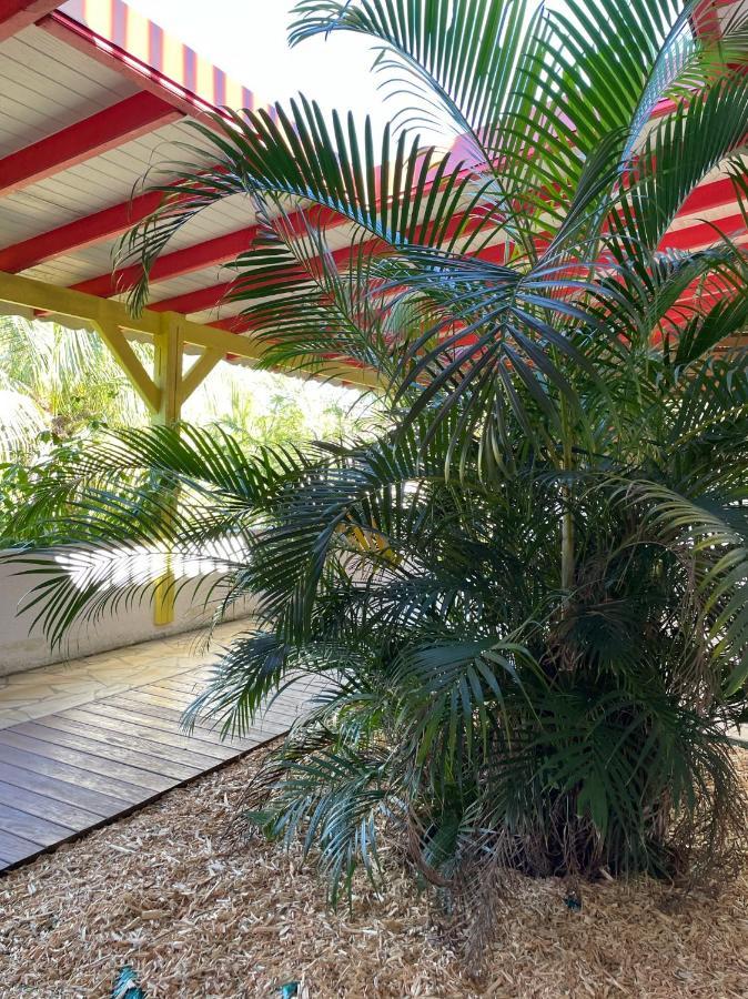 Jardin Sur Mer Terre-De-Haut Bagian luar foto