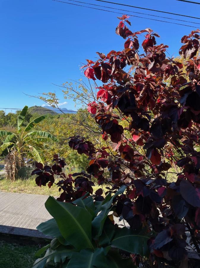 Jardin Sur Mer Terre-De-Haut Bagian luar foto