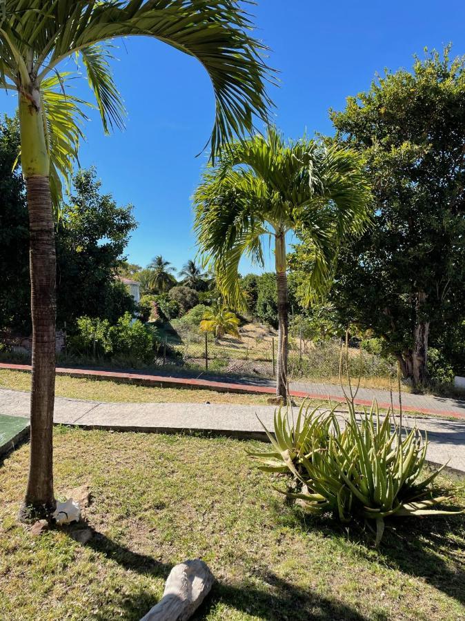 Jardin Sur Mer Terre-De-Haut Bagian luar foto