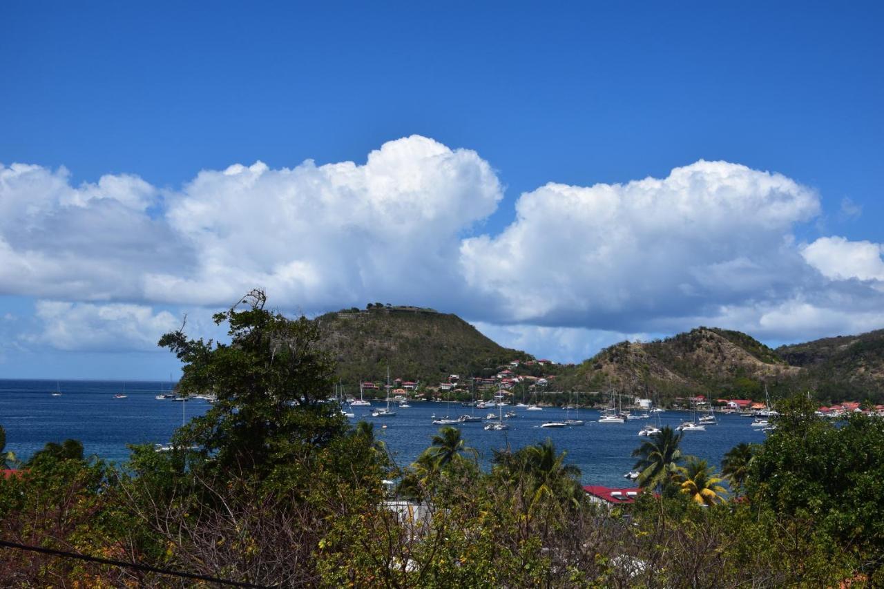 Jardin Sur Mer Terre-De-Haut Bagian luar foto