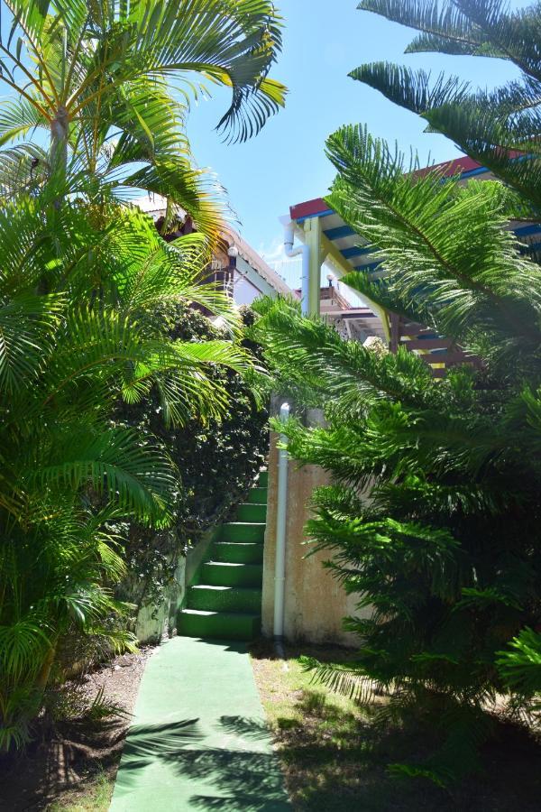Jardin Sur Mer Terre-De-Haut Bagian luar foto