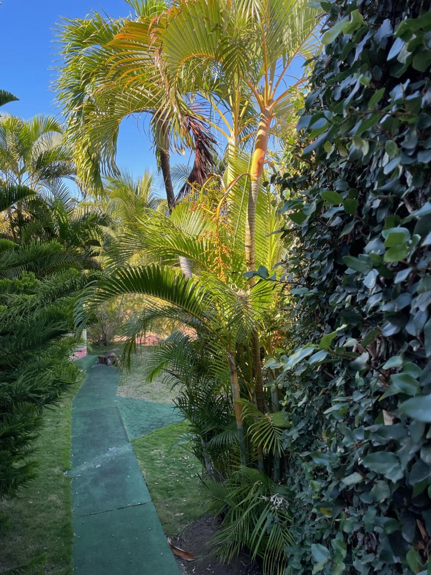 Jardin Sur Mer Terre-De-Haut Bagian luar foto